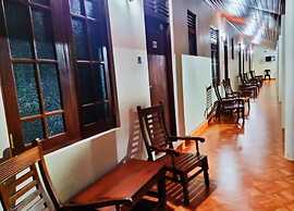 Blue Water Lily Yala