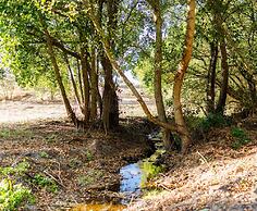 Quinta da Saudade