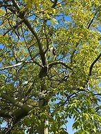 Residence Stella del Mare