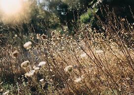 Es Racó d'Artà Hotel - Wellbeing Retreat