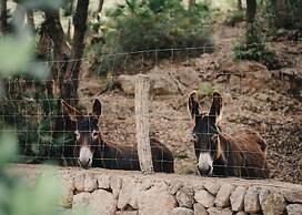 Es Racó d'Artà Hotel - Wellbeing Retreat