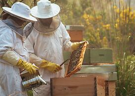 Es Racó d'Artà Hotel - Wellbeing Retreat