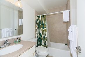 Ilikai Marina Studio City View Condos with Fully Equipped Kitchens & F