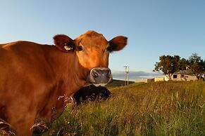 Guesthouse Steindórsstadir