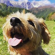 Hakuba Powder Mountain