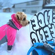 Hakuba Powder Mountain
