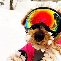 Hakuba Powder Mountain