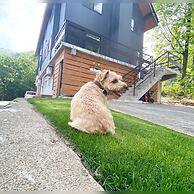 Hakuba Powder Mountain
