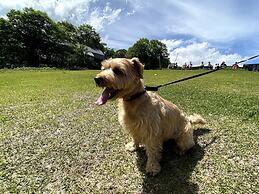 Hakuba Powder Mountain