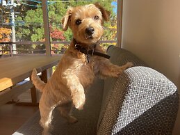 Hakuba Powder Mountain