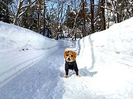 Hakuba Powder Mountain