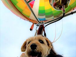 Hakuba Powder Mountain