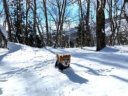 Hakuba Powder Mountain