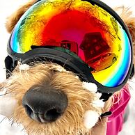 Hakuba Powder Mountain