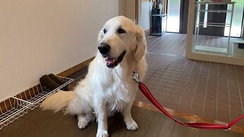 Hakuba Powder Mountain