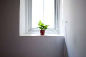 Leo 111 - Arena Ruifeng