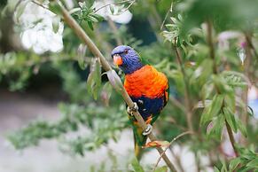 Wonboyn Cabins & Caravan Park