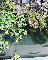 Guesthouse A Lareira