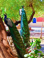 Camping Hotel Le Calme