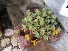 Sa domu de ziu Antoneddu