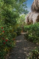 Ecoxata - Adults Only