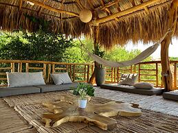 Ecoxata - Adults Only