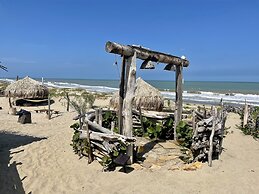 Ecoxata - Adults Only