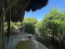 Ecoxata - Adults Only