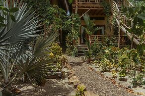 Ecoxata - Adults Only