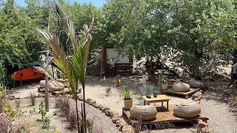 Ecoxata - Adults Only