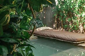 Ecoxata - Adults Only