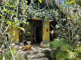 Ecoxata - Adults Only