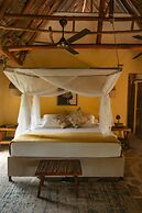 Ecoxata - Adults Only