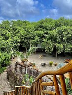 Ecoxata - Adults Only