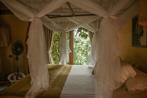 Ecoxata - Adults Only