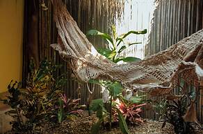 Ecoxata - Adults Only