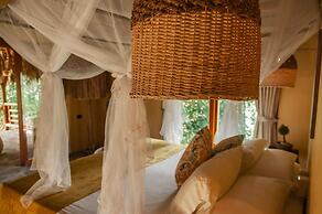 Ecoxata - Adults Only