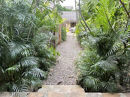 Ecoxata - Adults Only