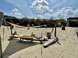 Ecoxata - Adults Only