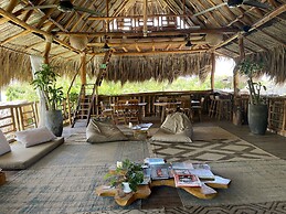 Ecoxata - Adults Only