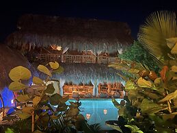 Ecoxata - Adults Only