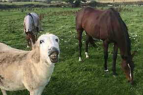 Farm Stay Property Pets and Families Welcome