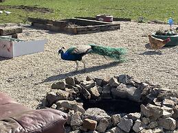 Farm Stay Property Pets and Families Welcome