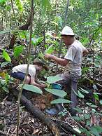 Ditsowou Lodge & Tours