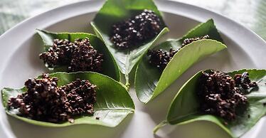 Ditsowou Lodge & Tours