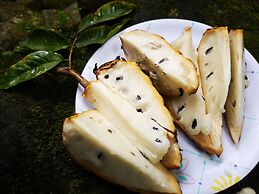 Ditsowou Lodge & Tours