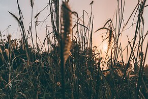 Bridges Danang Boutique Hotel