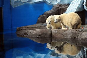 Wuhan Marriott Hotel Hankou