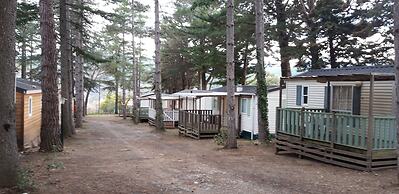 Camping la Source