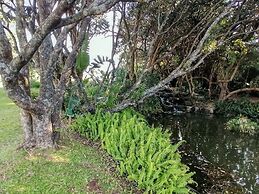 Caribbean Estate Deluxe